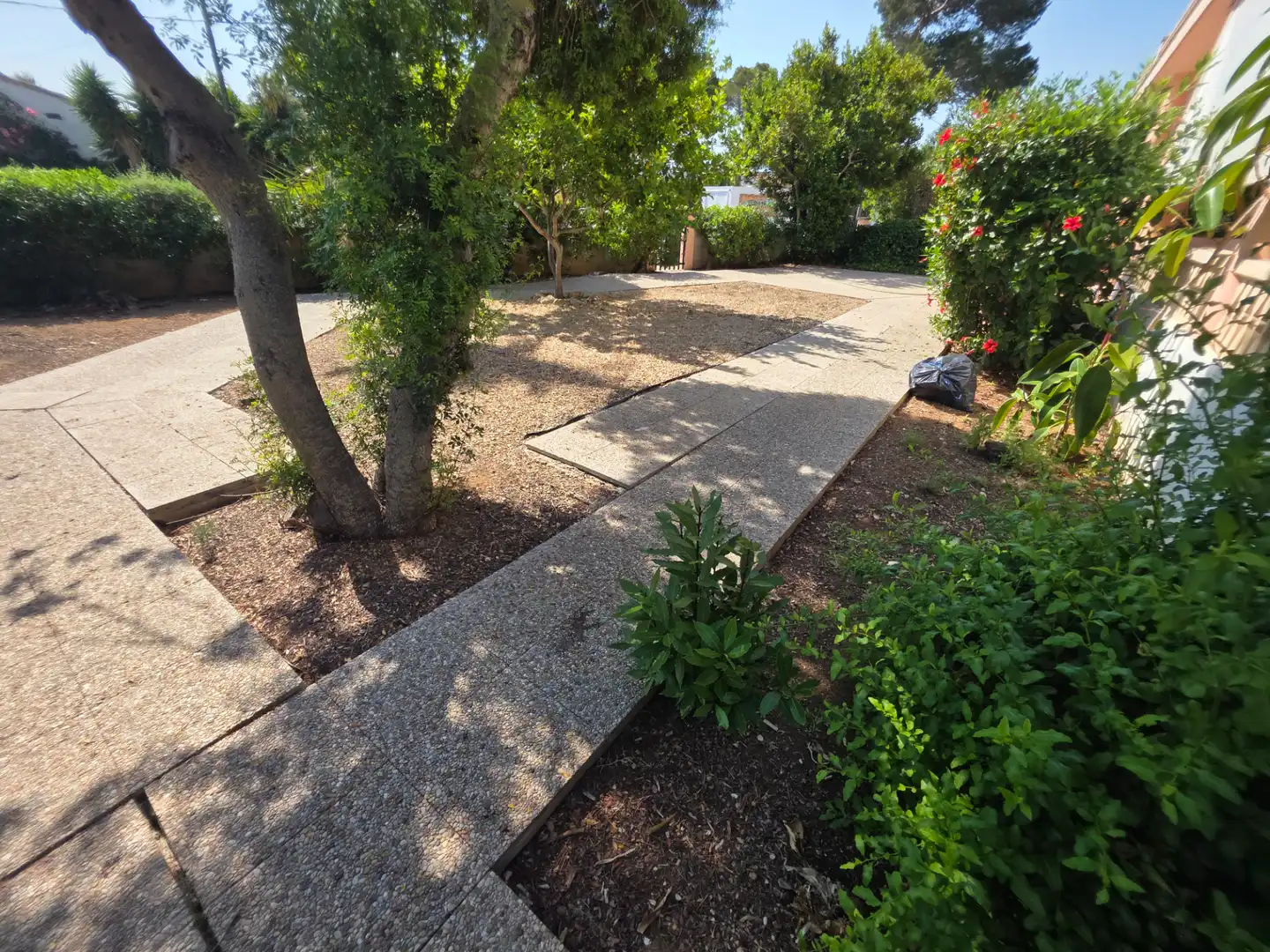 Jardín de Casa o chalet en venta en Campos con Jardín privado, Terraza y Trastero