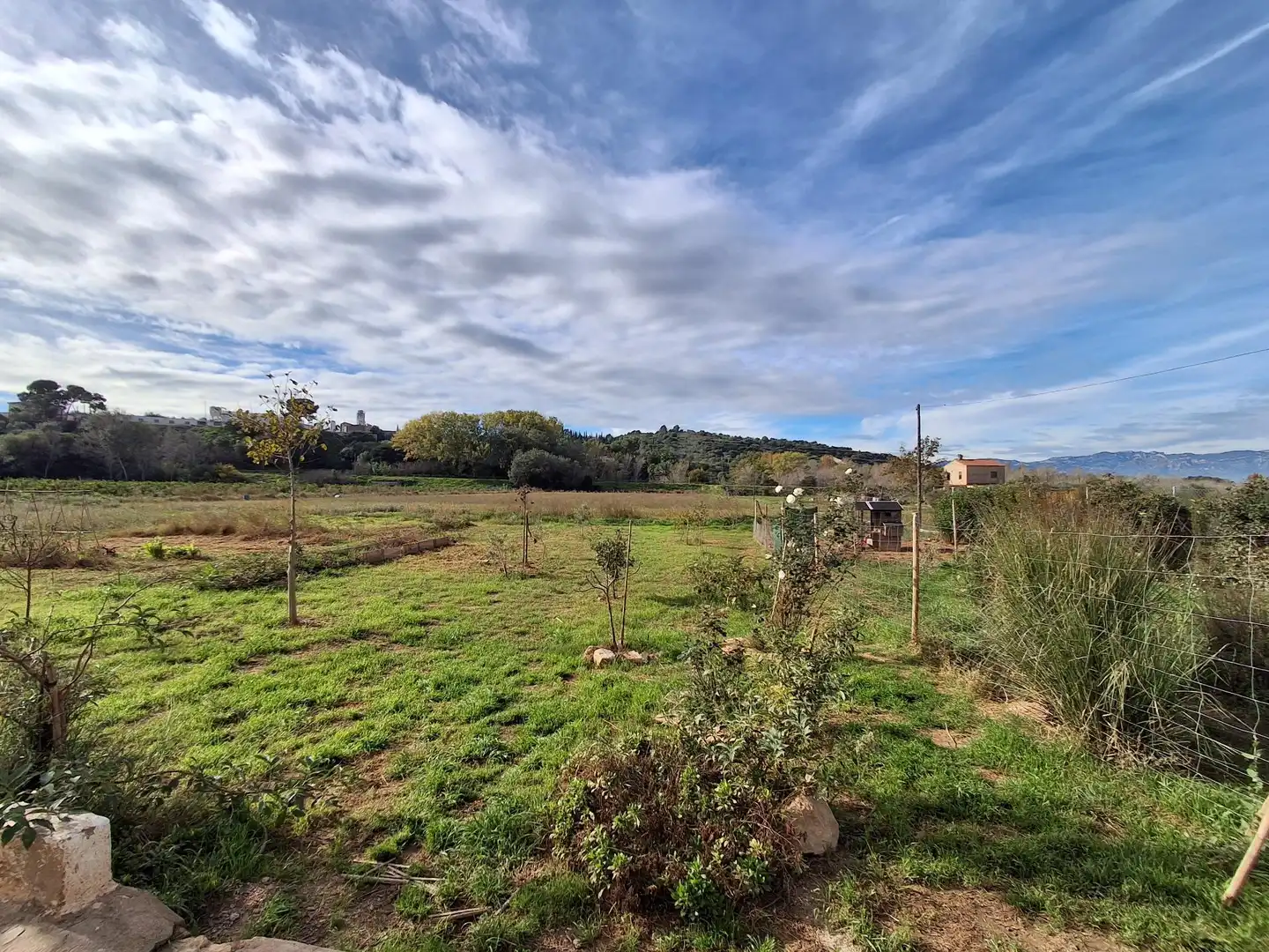 Casa o xalet en venda en Amposta