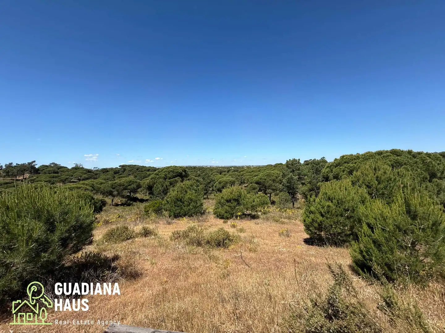 Finca rústica en venda en Ayamonte