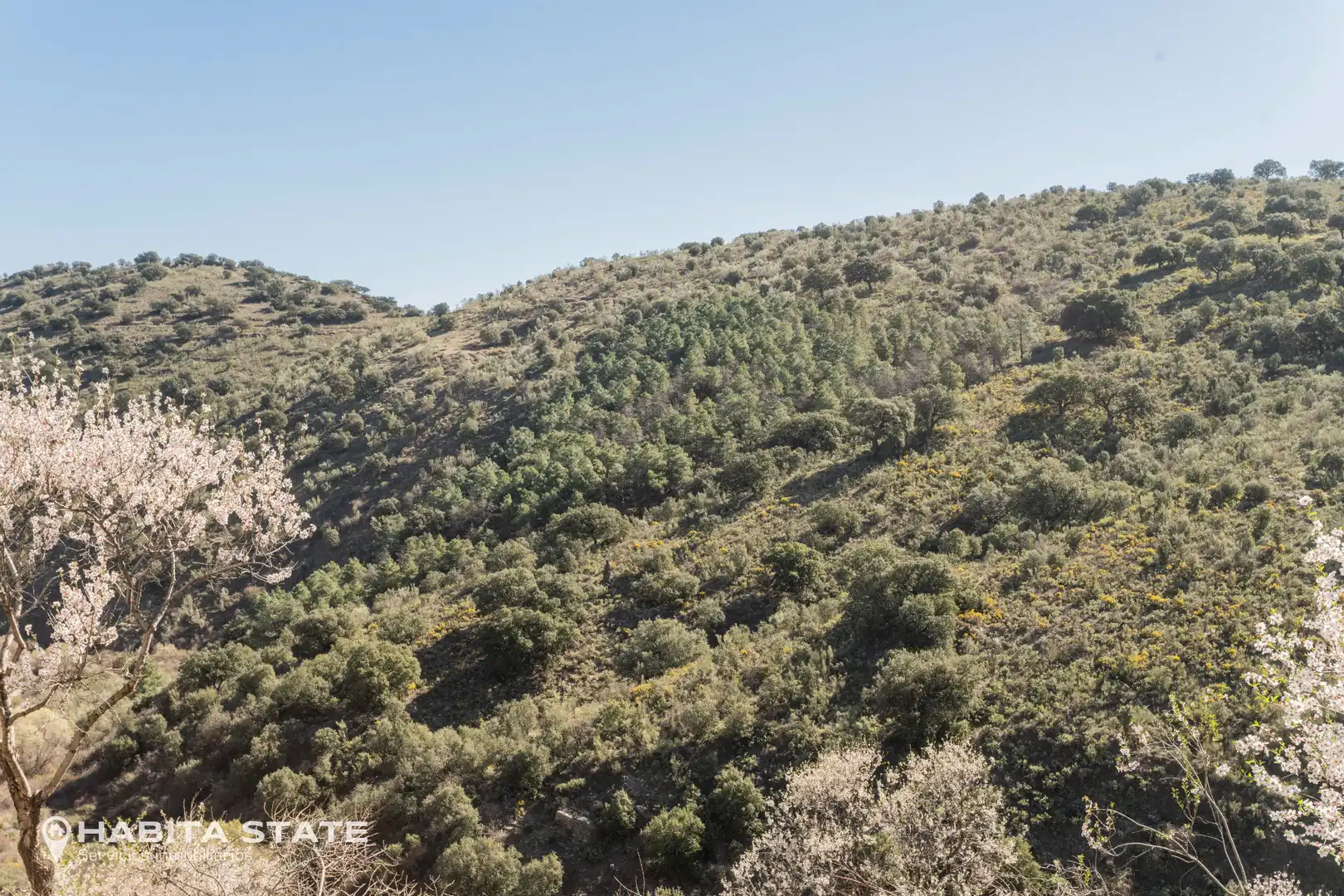 Casa o xalet en venda en Macael amb Jardí privat, Terrassa i Moblat