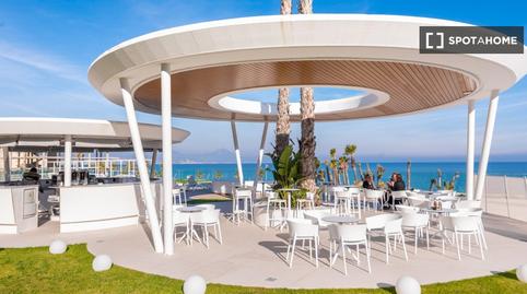 Photo 5 of Apartment to share in Cabo de las Huertas, Alicante / Alacant