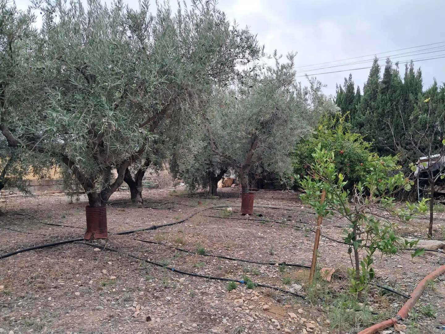 Casa o chalet en venta en Aspe con Jardín privado, Terraza y Trastero