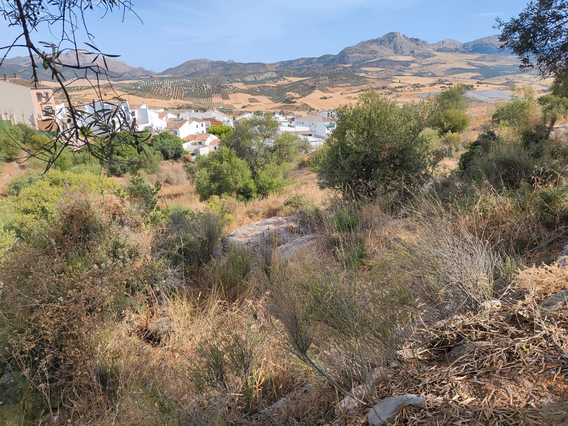 Exterior view of Residential for sale in Casabermeja