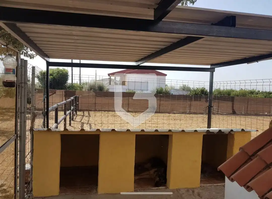 Terrassa de Casa o xalet en venda en Castellón de la Plana / Castelló de la Plana