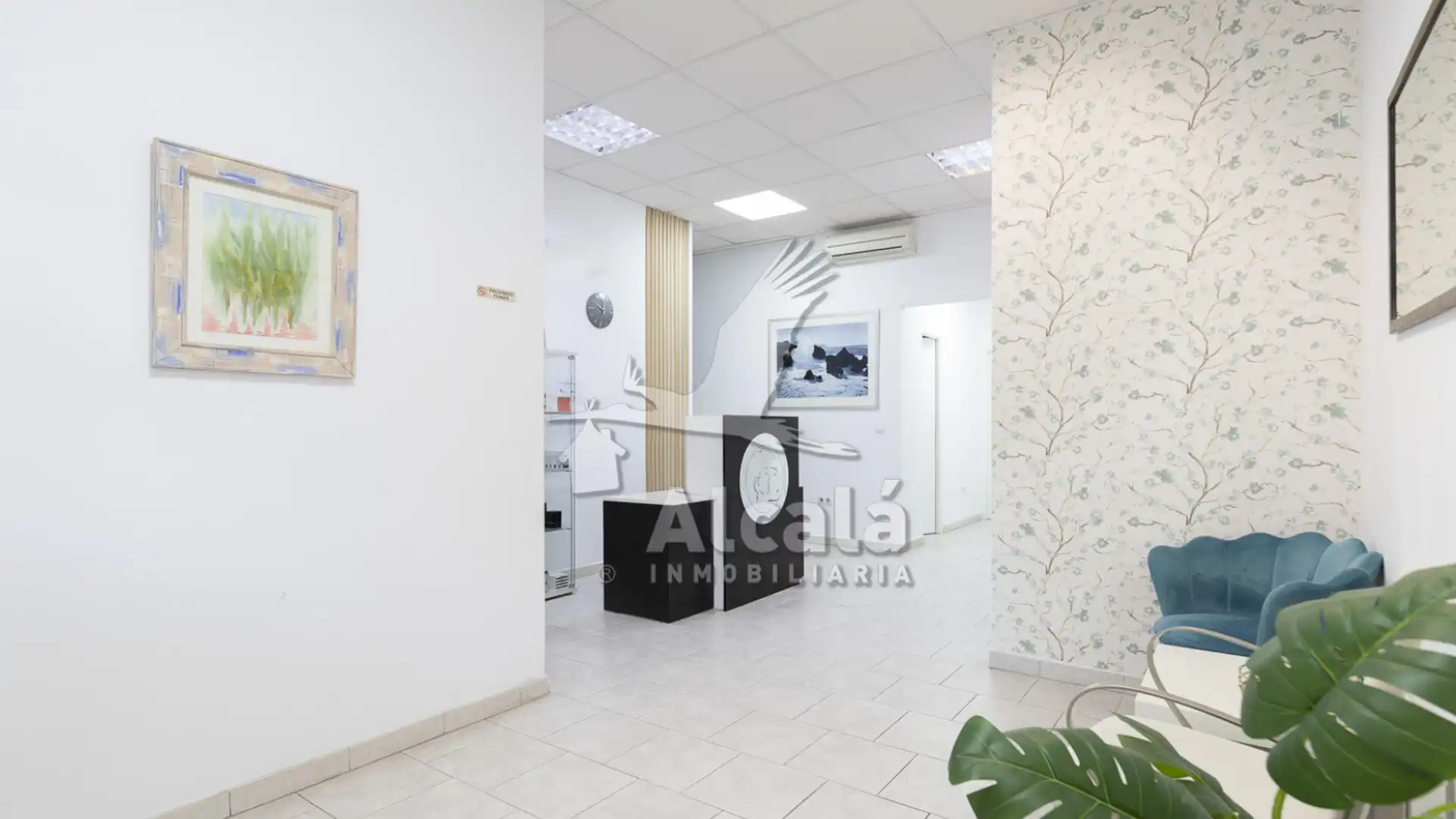 Geschaftsraum zur ubertragung in Alcalá de Henares