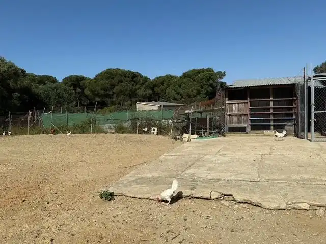 Casa rústica en venta en Gibraleón, imagen 13