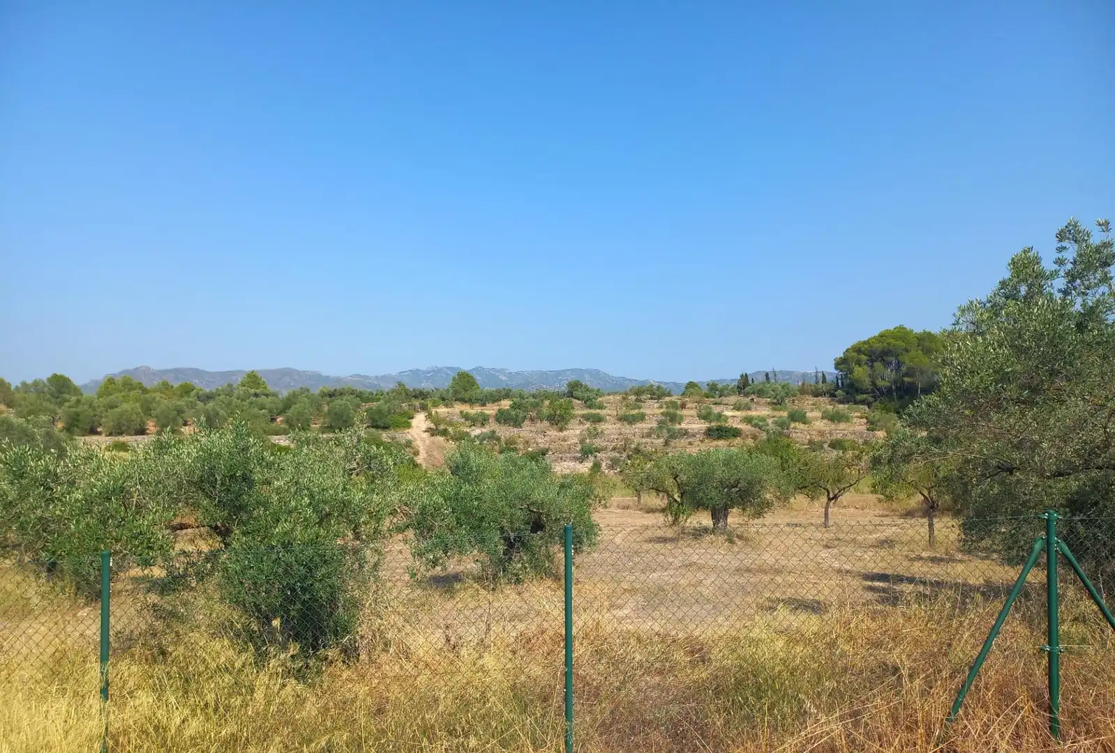 Finca rústica en venta en Rasquera