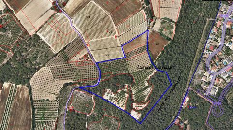 AGROCAT COMERCIALIZA FINCA RUSTICA DE 3’7 HECTÁREAS EN PERAFORT.TARRAGONA, immagine 2