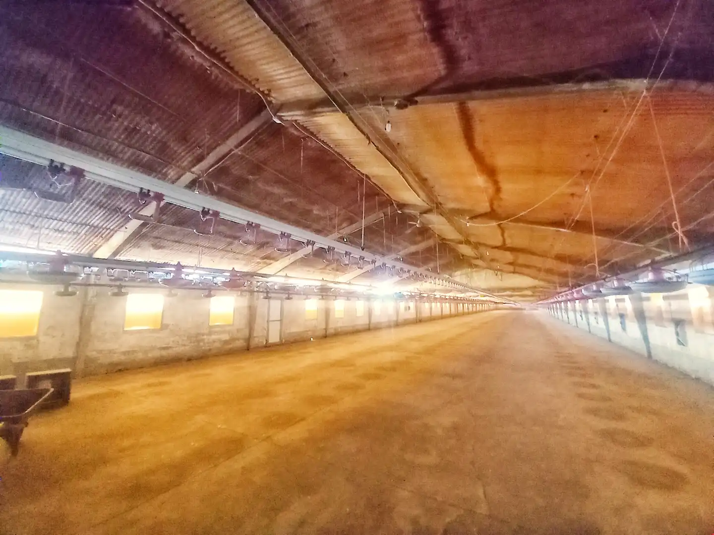 Industrial buildings for sale in Calle San Roque, 3, Bahabón de Esgueva