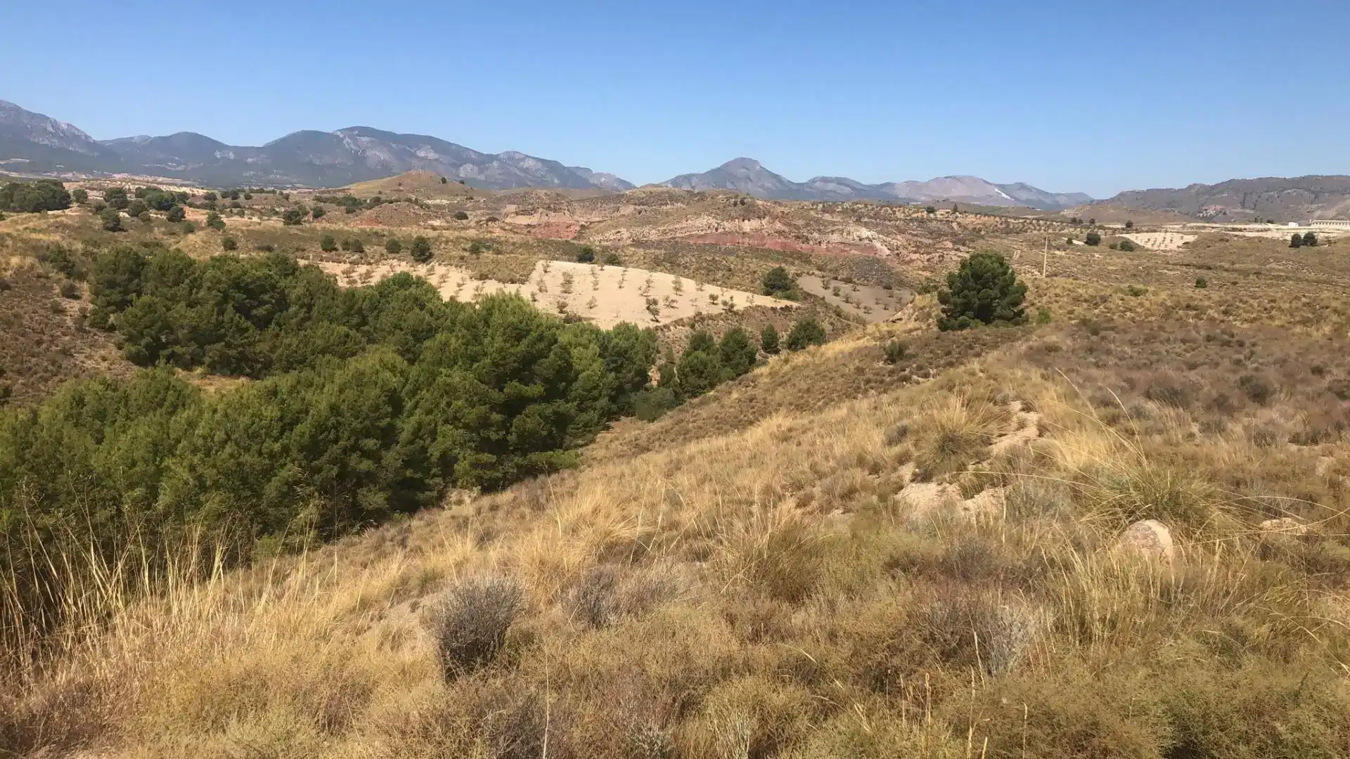 Residential for sale in Lorca