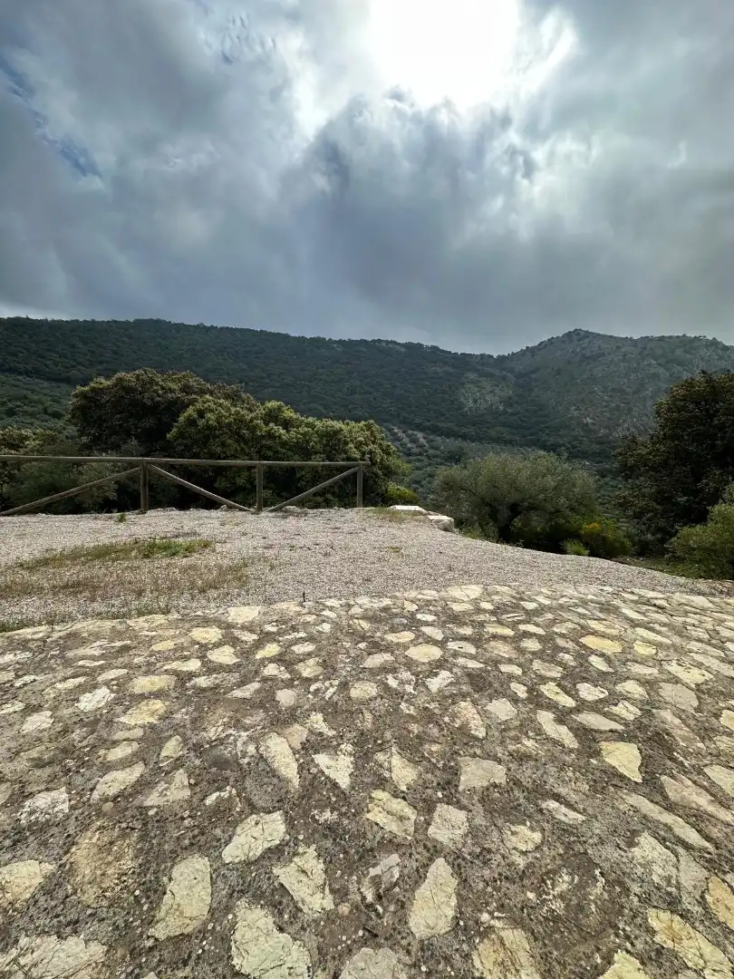 Terreni e lotti in vendita a Alfarnate, imagen 45