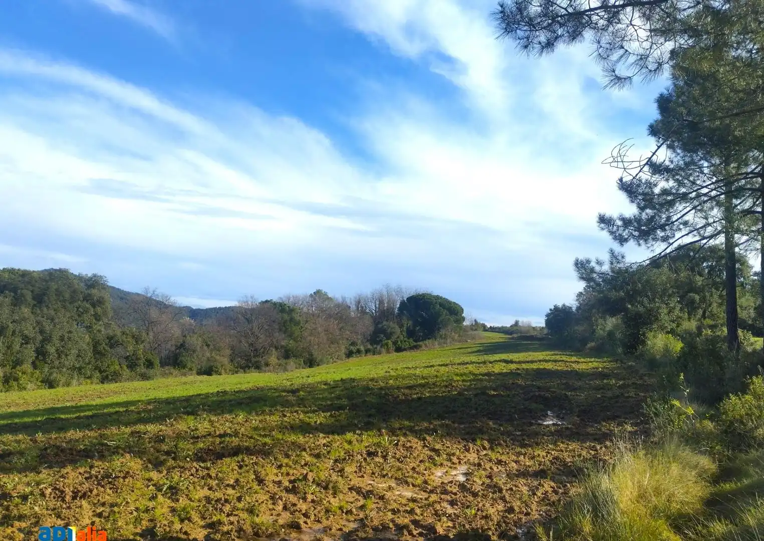 Finca rústica en venta en Massanes