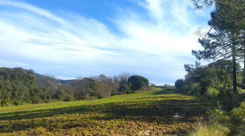 Foto 4 de Finca rústica en venta en Massanes, Girona