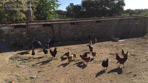 Foto 4 de Finca rústica en venda a El Pedroso, Sevilla