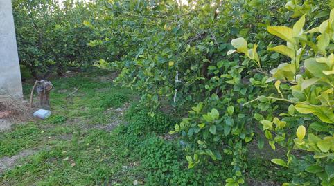 Foto 3 de Terreno en venta en Villanueva del Río Segura, Murcia