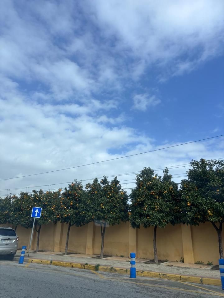 Vista exterior de Casa o xalet de lloguer en Dos Hermanas