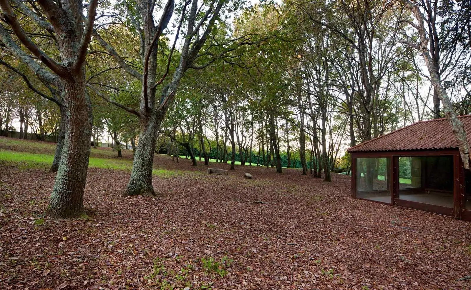 Wohnbaugrundstück zum Verkauf in Abegondo, imagen 2