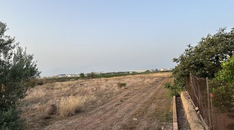 Foto 3 de Residencial en venta en Rafelbuñol-rafelbunyol - , Pobla de Farnals, La Pobla de Farnals