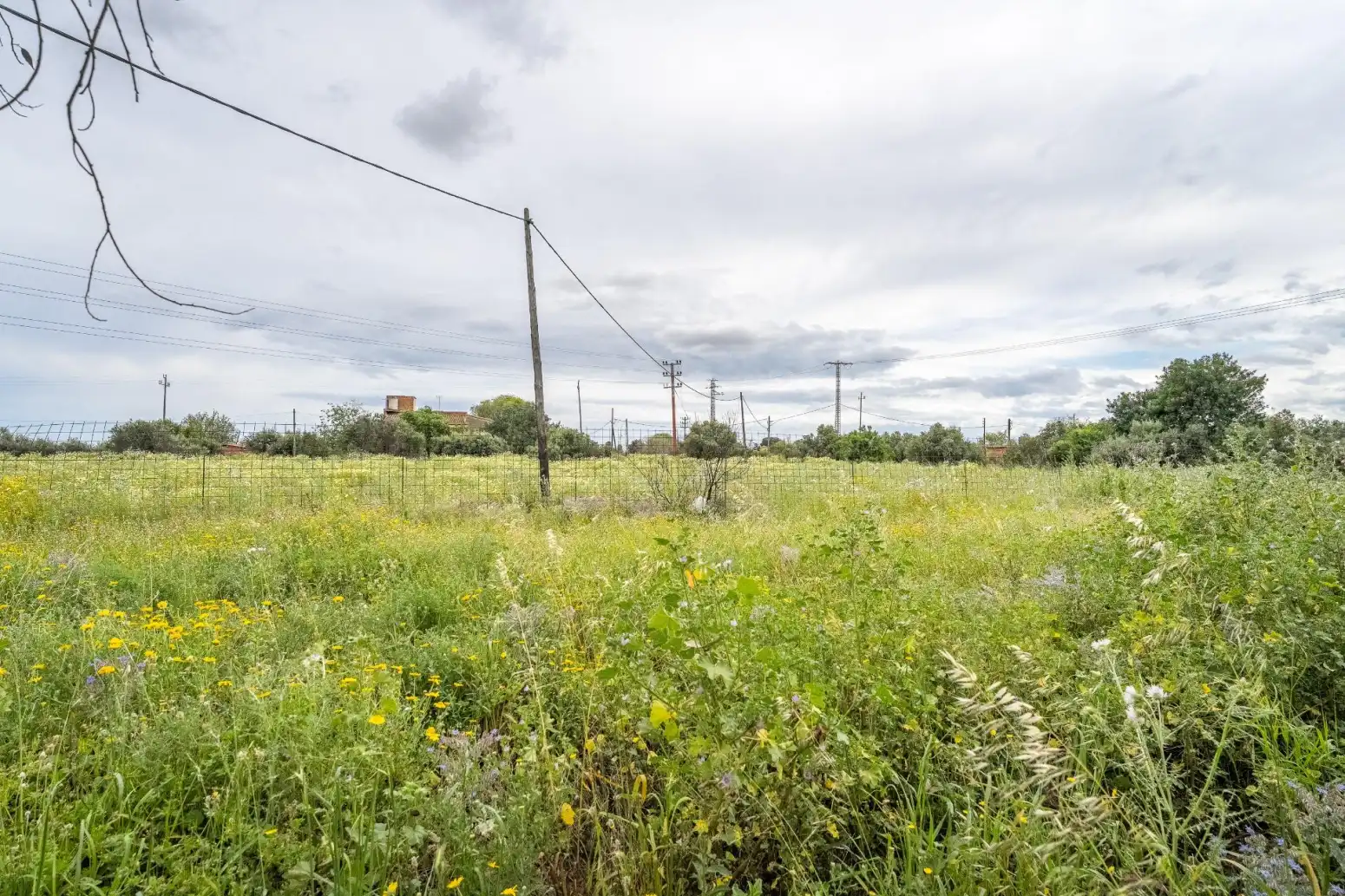 Casa o chalet en venta en Reus - Poligono Polígono 55 Paraje 46 ROJALS, Llevant