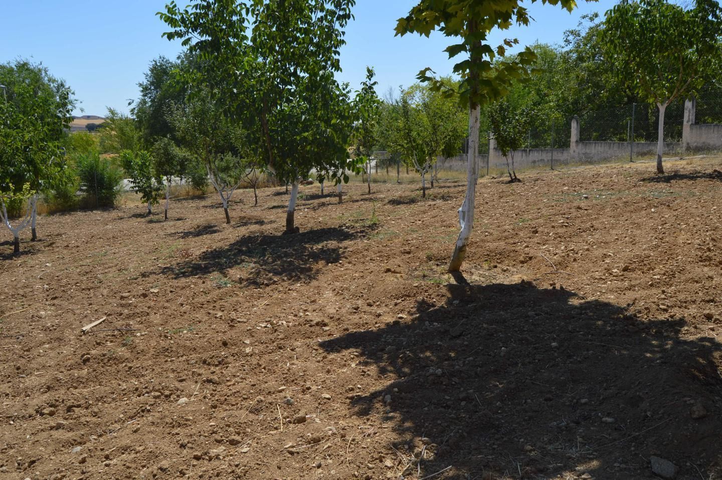 Casa o chalet en venta en Villar de Cañas con Jardín privado