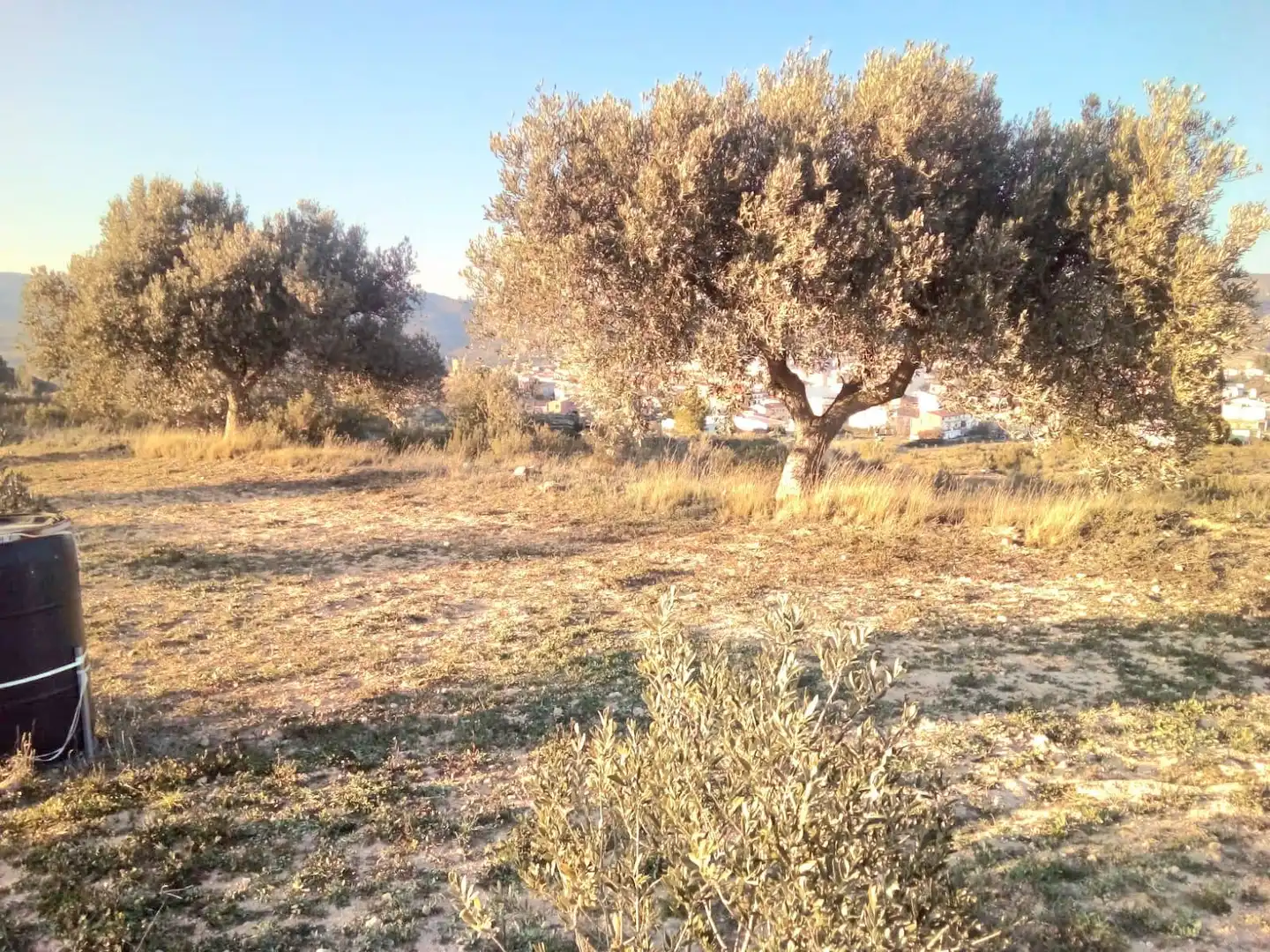 Terreny en venda en Riba-roja d'Ebre