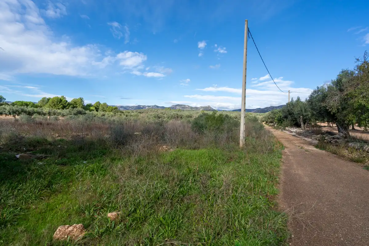 Rural land for sale in La Sénia