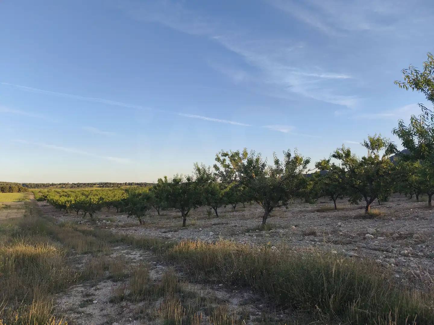 Terreno rustico in vendita a Moratalla, imagen 21
