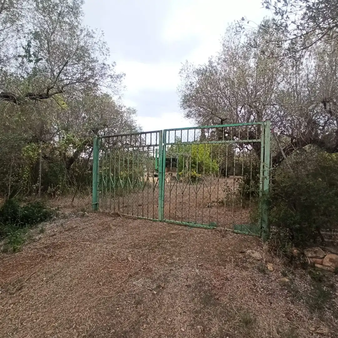 Finca rústica en venta en La Selva del Camp
