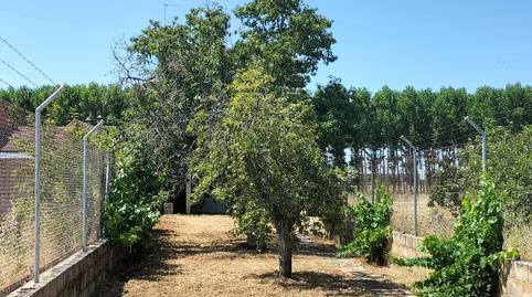 Photo 5 of House or chalet for sale in Calle la Carretera, Melgar de Tera, Zamora