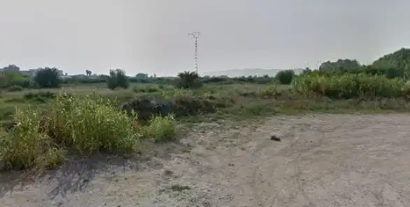 Rural land for sale in Sueca ciudad