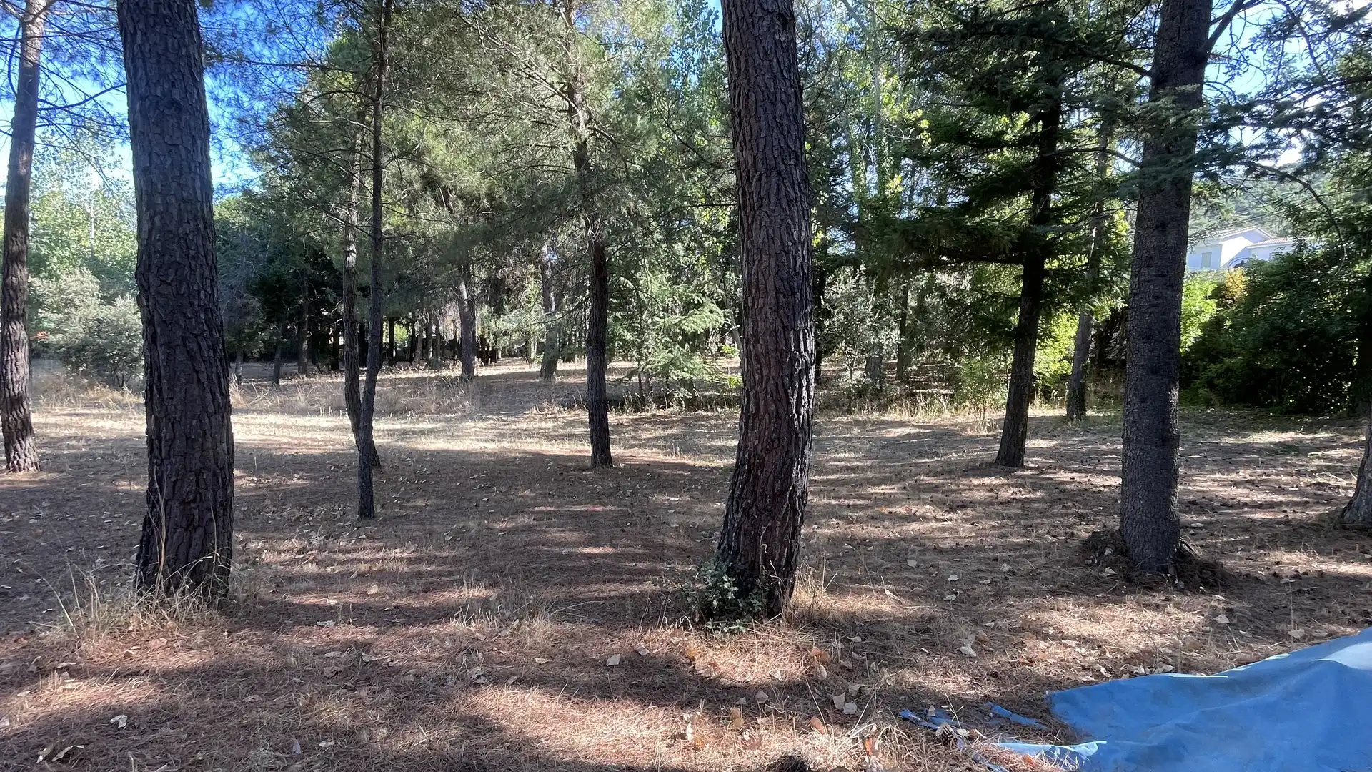 Wohnbaugrundstück zum Verkauf in Robledo de Chavela
