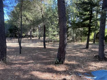 Terreno residencial en venta en Robledo de Chavela