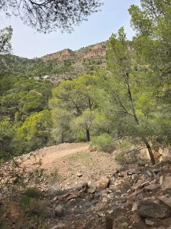 Wohnbaugrundstück zum Verkauf in Carrer Canteres 18, imagen 9
