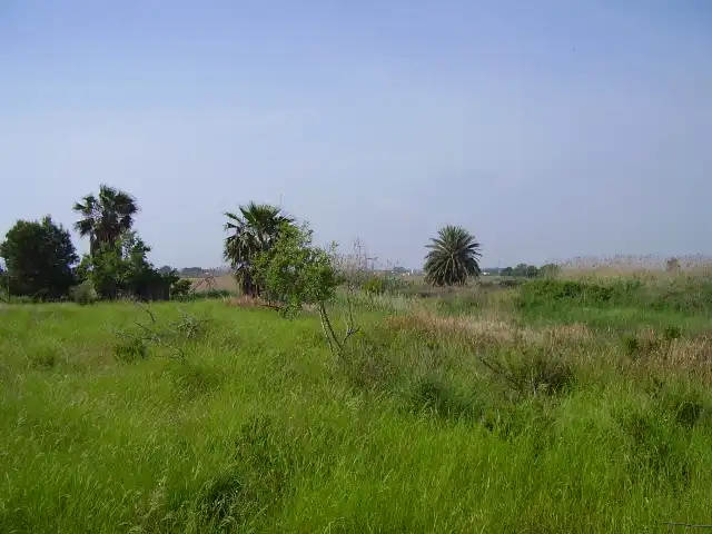 Residential land for sale in Calle Rafael Balaguer 75, imagen 13