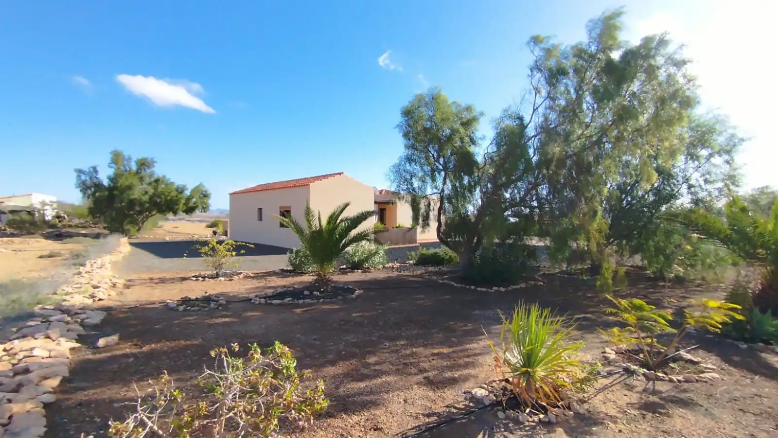 Vista exterior de Casa o chalet en venta en Pájara con Terraza, Trastero y Amueblado