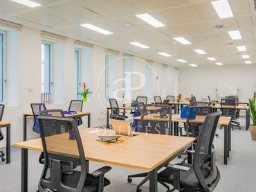 Büro zur Miete in P.º de la Castellana