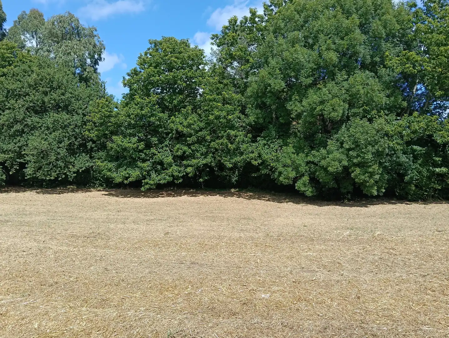 Maison avec jardin à vendre à Vilasantar, imagen 19