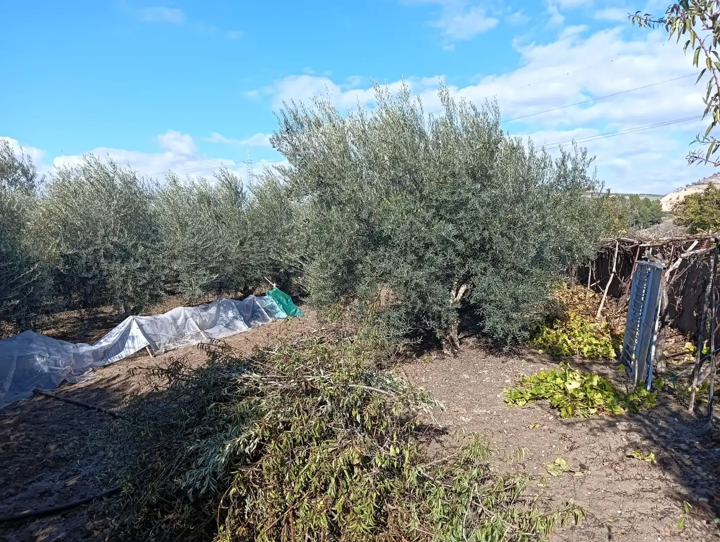 Rustikales Grundstück zum Verkauf in Camino Anzola, imagen 21