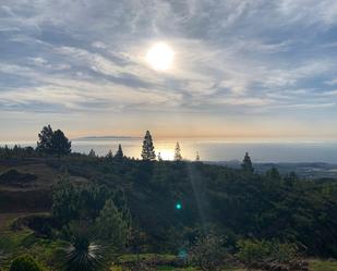 Vista exterior de Finca rústica en venda en Granadilla de Abona amb Calefacció i Alarma