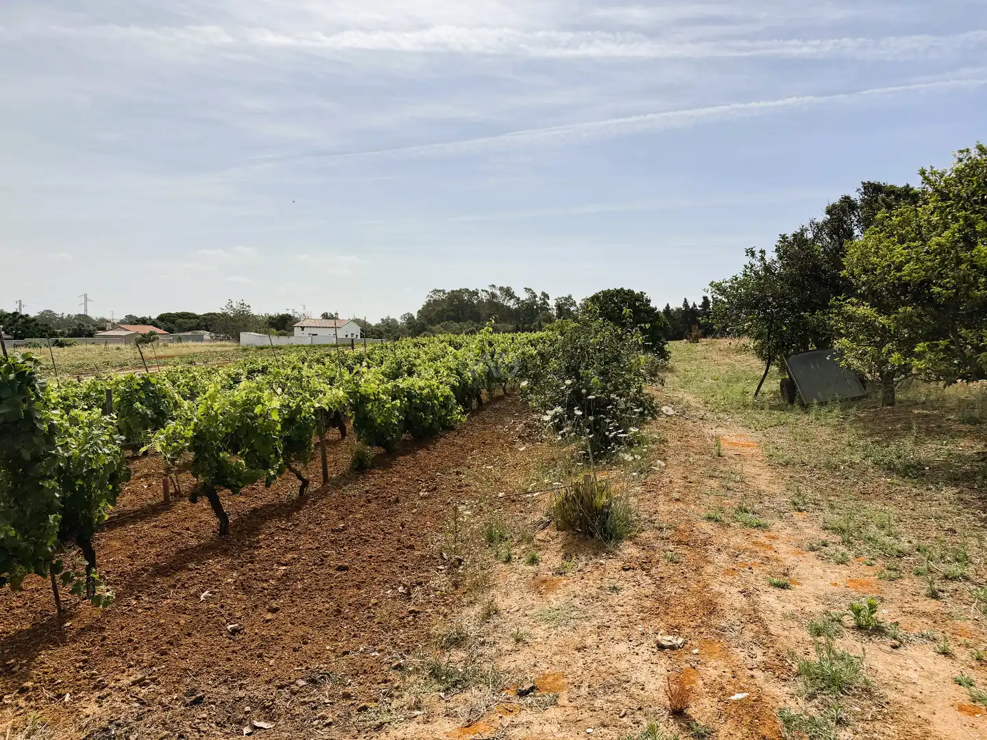 Land for sale in Chiclana de la Frontera
