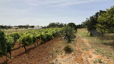 Photo 3 of Land for sale in Ds Pago Melilla 657 Suelo Polígono 16 Parcela 657, Las Lagunas - Campano, Chiclana de la Frontera