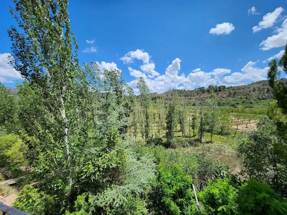 Casa o chalet en venta en Jalance