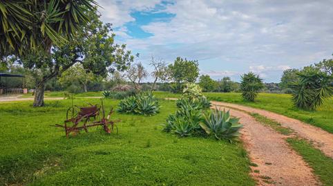 Photo 5 of House or chalet to rent in Cala Figuera, Santanyí