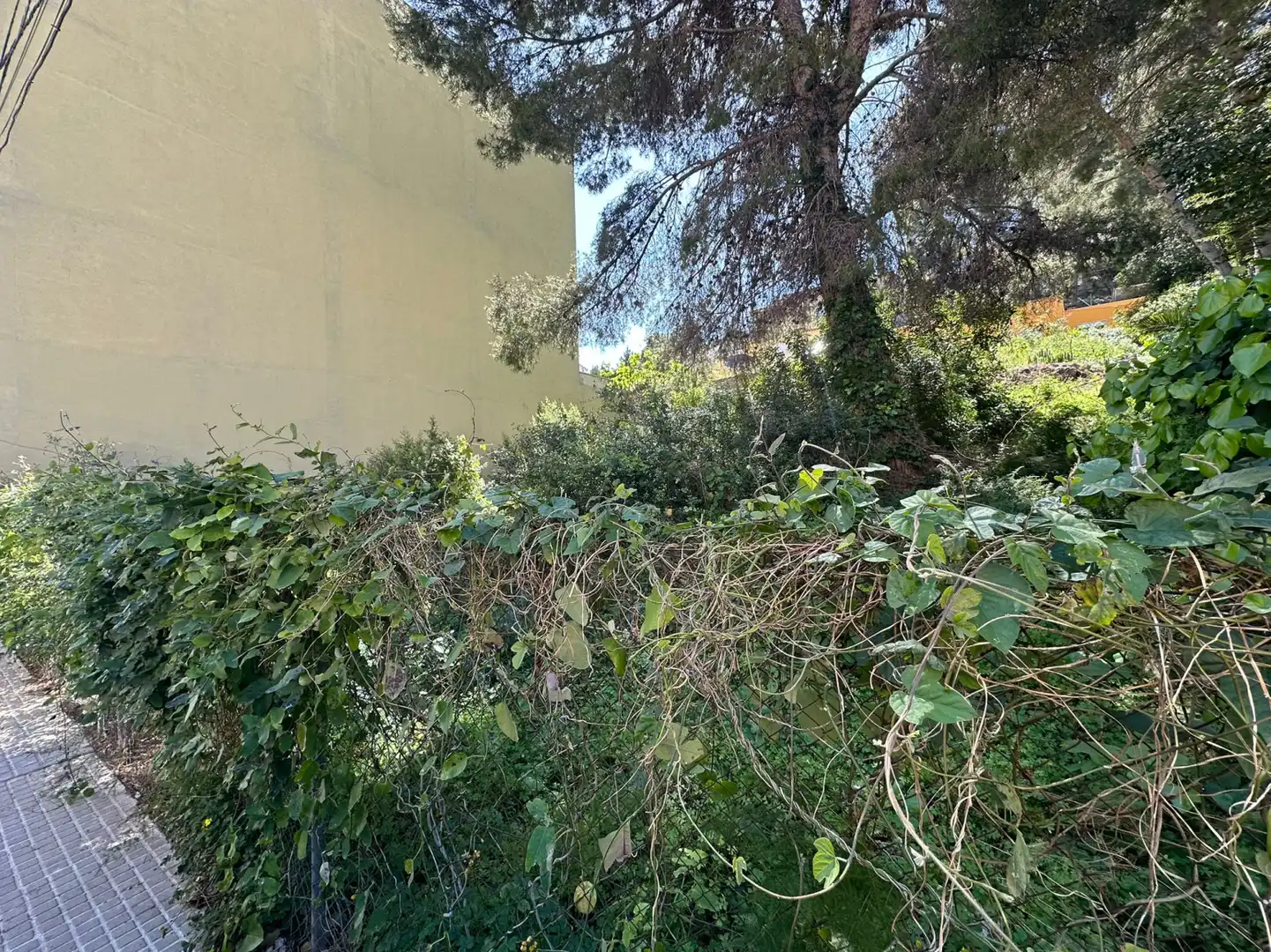 Residential land for sale in Gilet, imagen 4