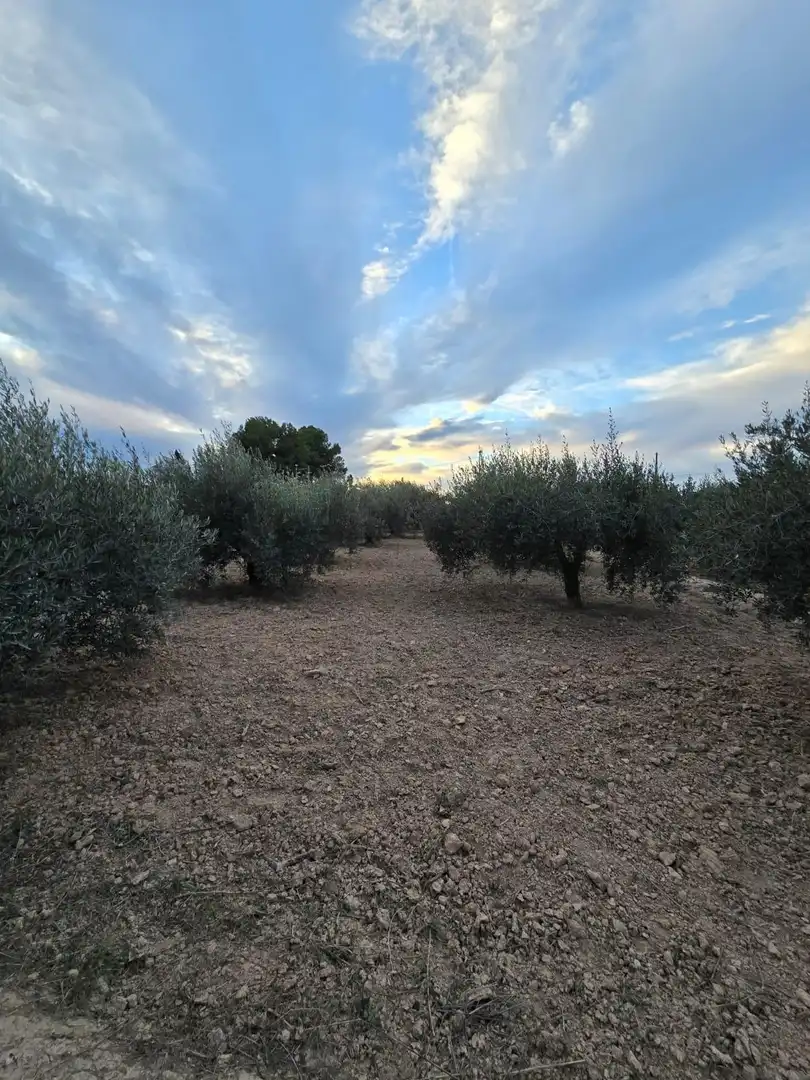 Casa o xalet en venda a Camino Camino de los Cerones, Alcantarilla