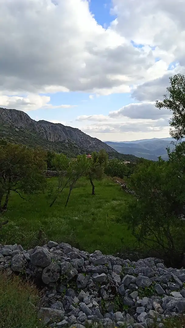 Terrain rustique à vendre à Benaocaz, imagen 5