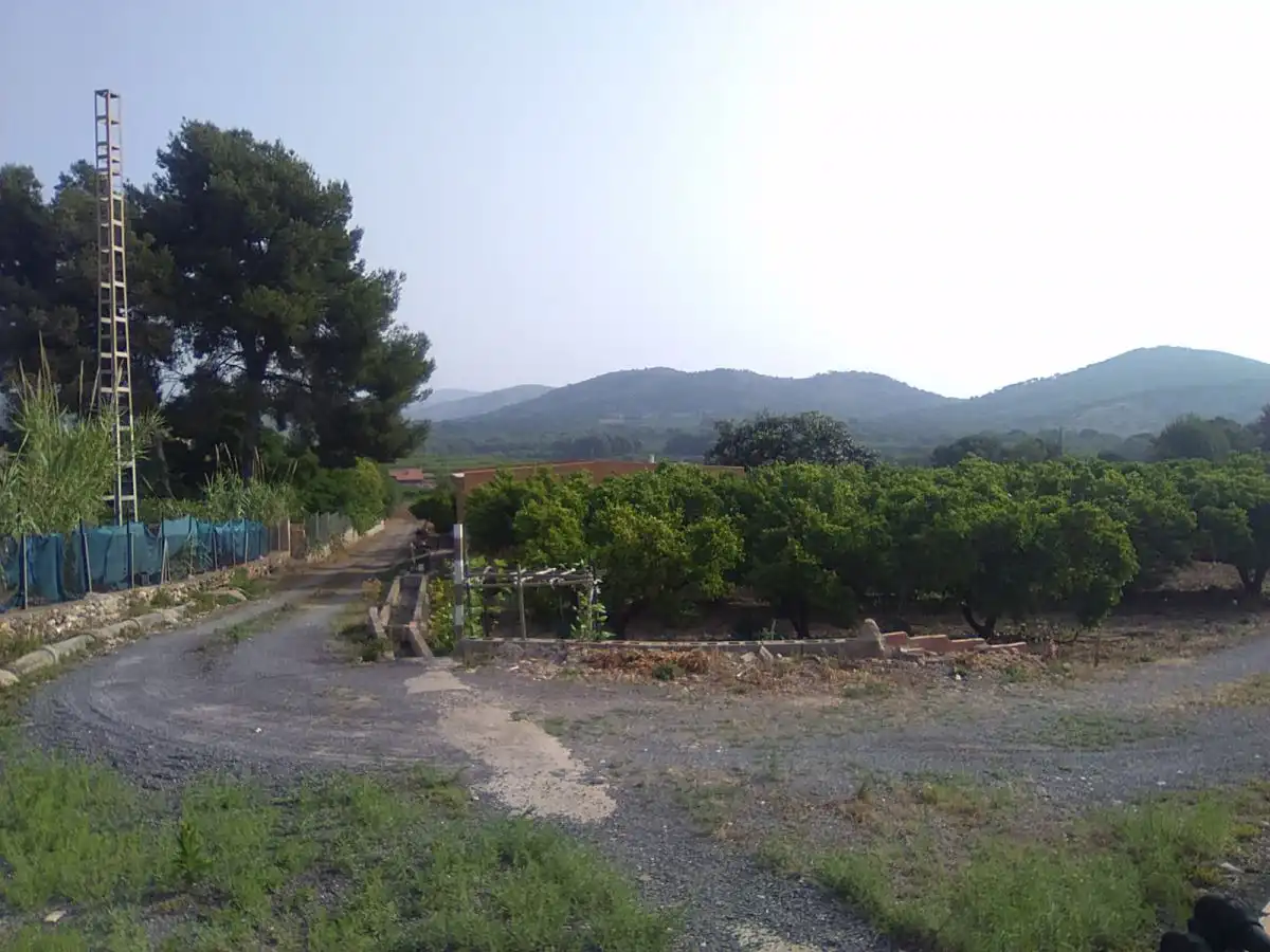 Finca rústica en venta en Sagunto / Sagunt