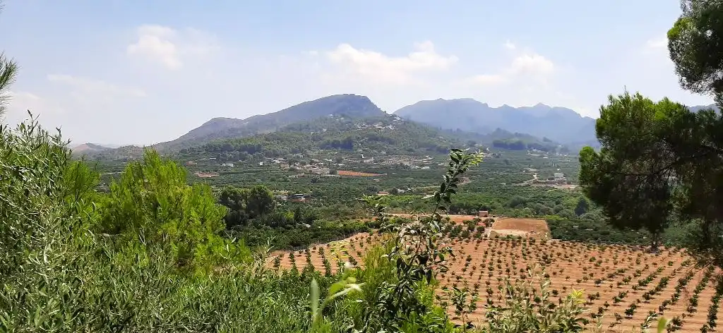 Residential land for sale in Carrer del Tallat Roig, imagen 5