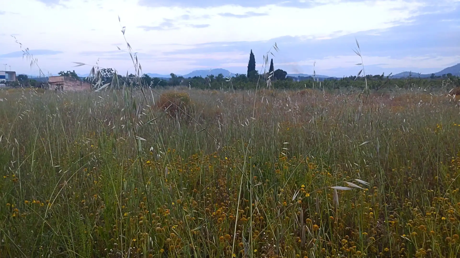 Terreno residenziale in vendita a Camino Nou, imagen 21