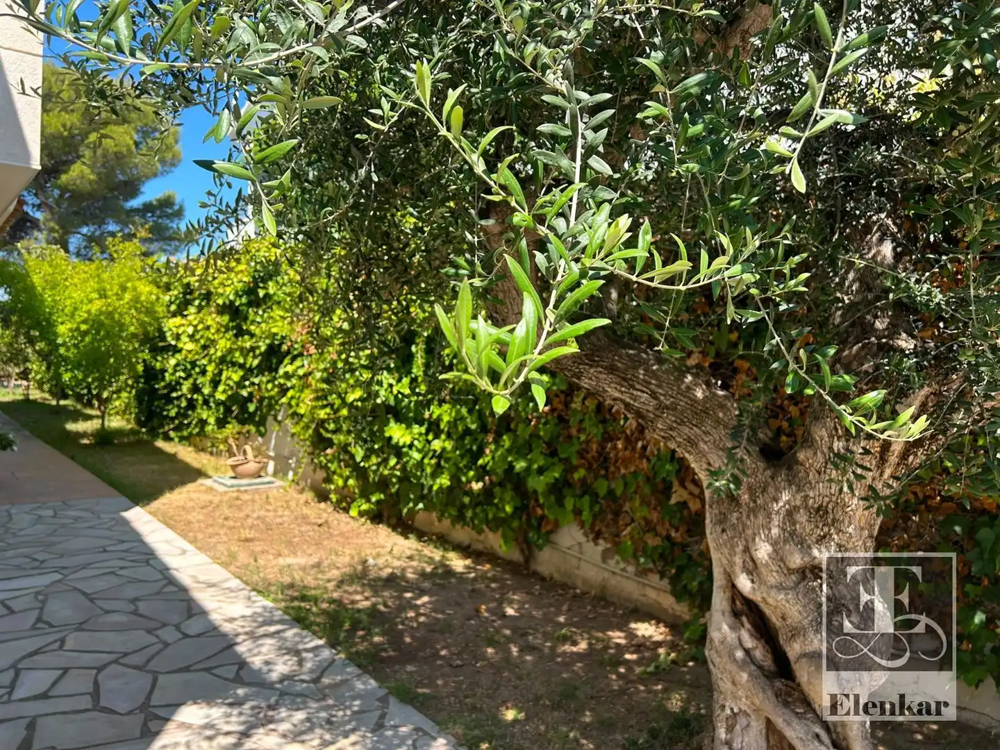 Maison à vendre à Terral de Dalt, imagen 8